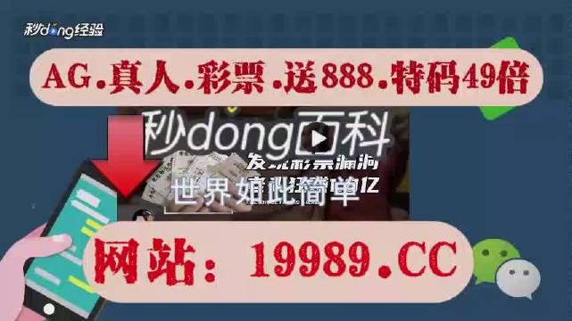 2024澳门天天开好彩大全,数据资料解释落实_扩展版6.986